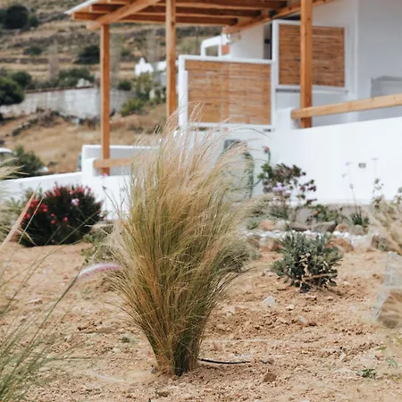 Ammos Serifos 3*